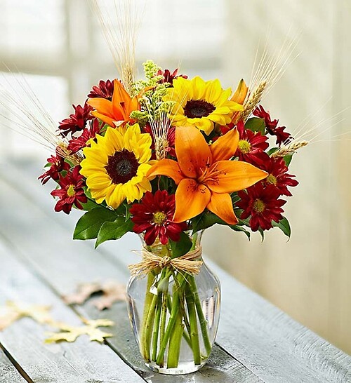 Autumn Cheer