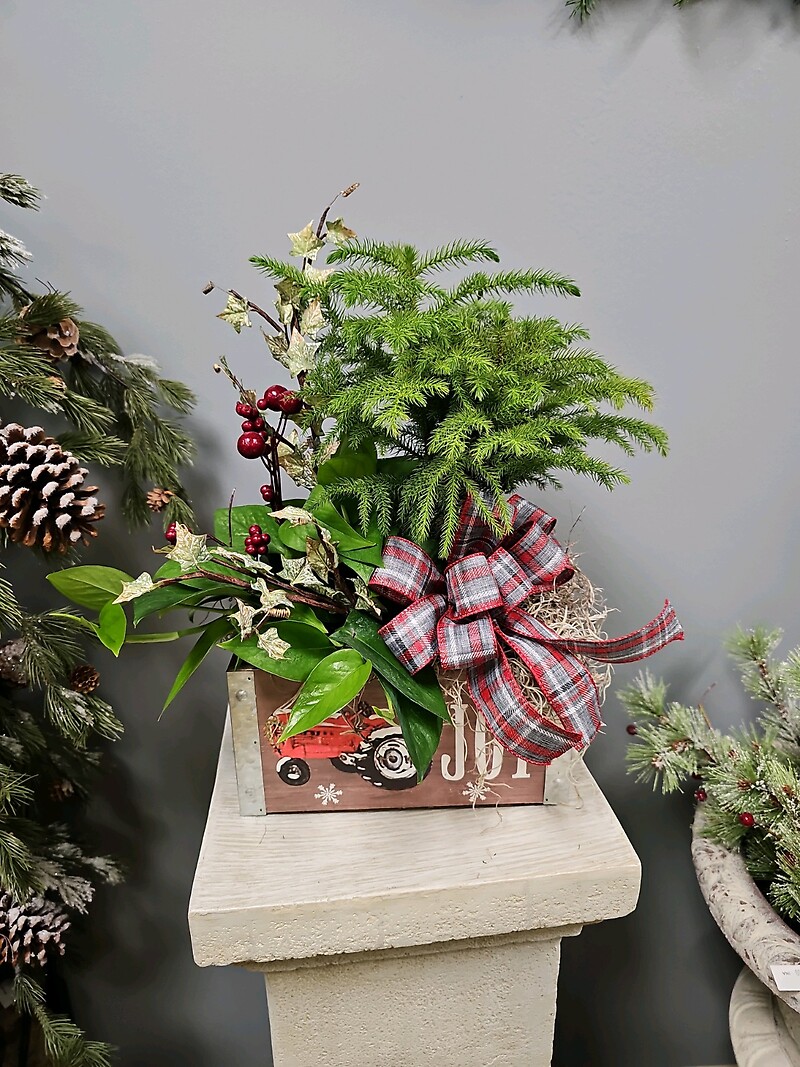 Red Tractor Dish Garden arranged by a florist in Lexington, KY Bella