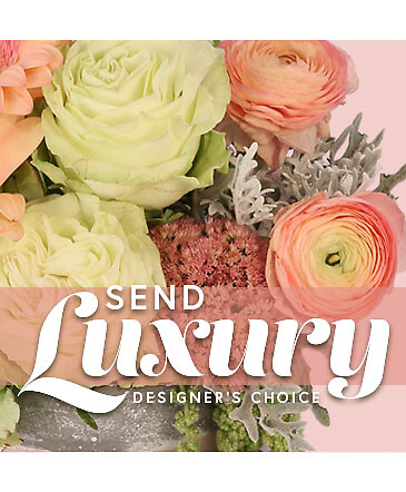 Luxury Designer&#039;s Choice