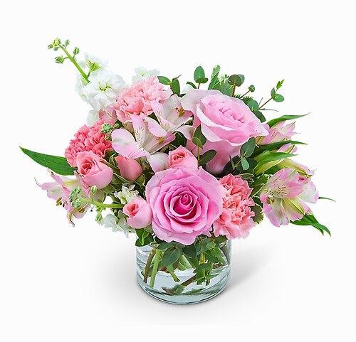 Pretty Posie