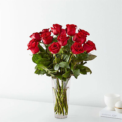 Bella Red Roses