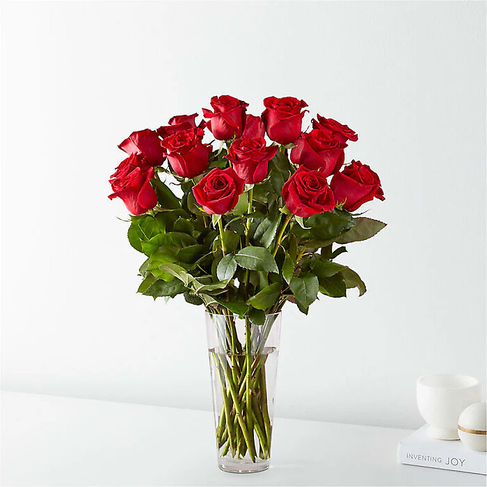 Bella Red Roses