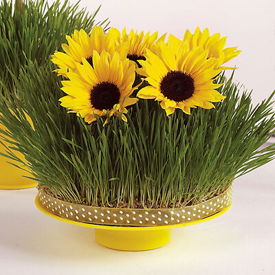 Sunflower Centerpiece