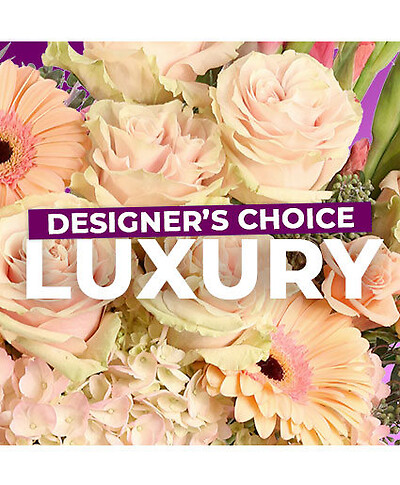 Luxury Designer&#039;s Choice