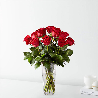 Bella Red Roses