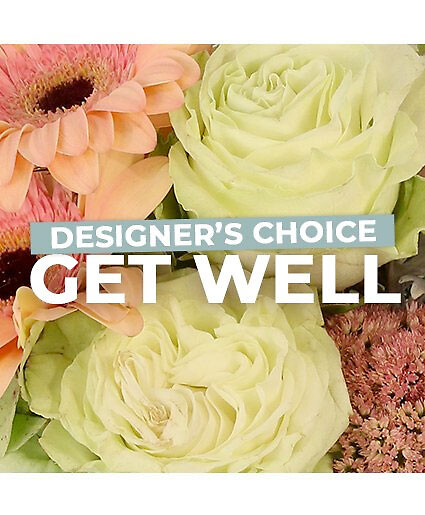 Get Well Desinger's Choice