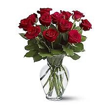 Bella Red Roses