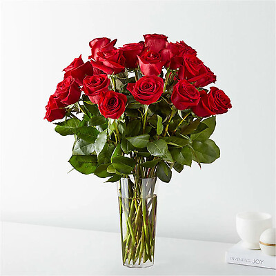 Bella Red Roses