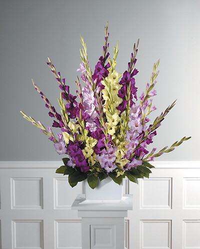 Beautiful Memory Arrangement