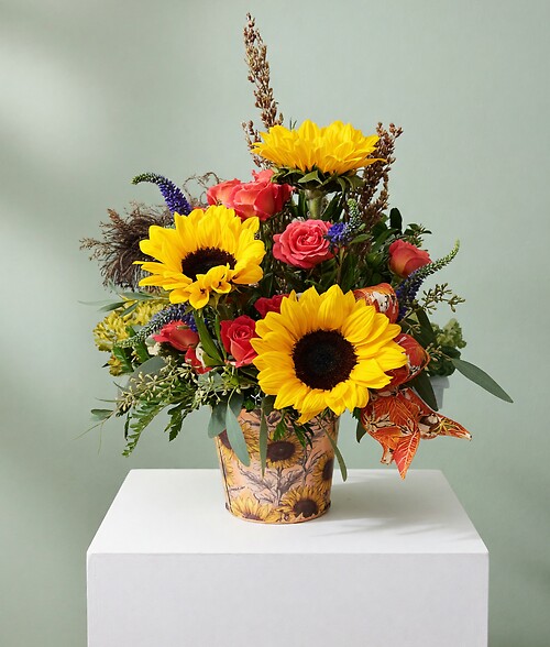 Sunflower Time