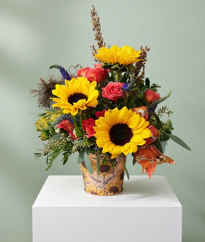 Sunflower Time