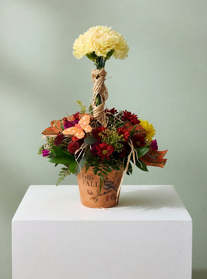 Fall Pick Me Up