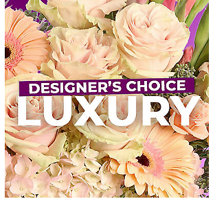Luxury Designer&#039;s Choice
