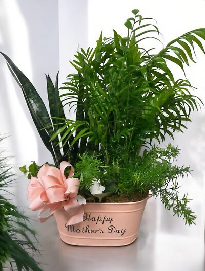 Happy Mother&#039;s Day Planter