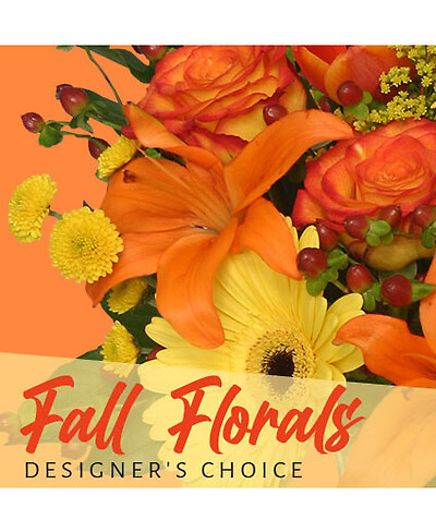 Fall Designer&#039;s Choice