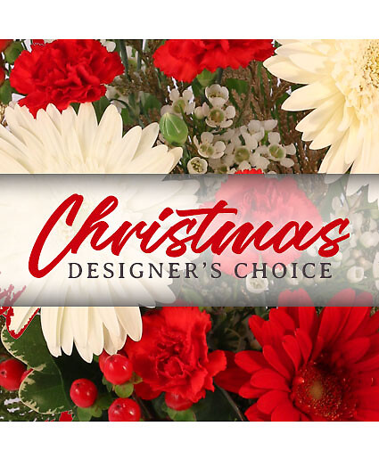 Christmas Designer's Choice